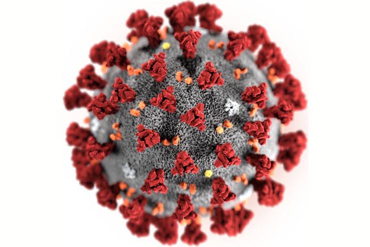 /media/article/csm_Coronavirus_ce696f3706.jpg